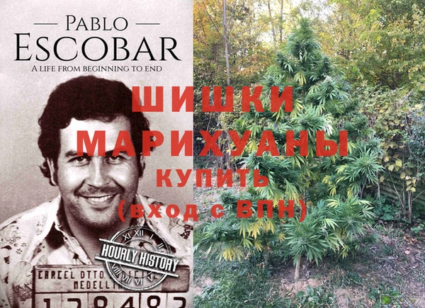 mix Пересвет