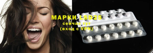 гашик Пестово