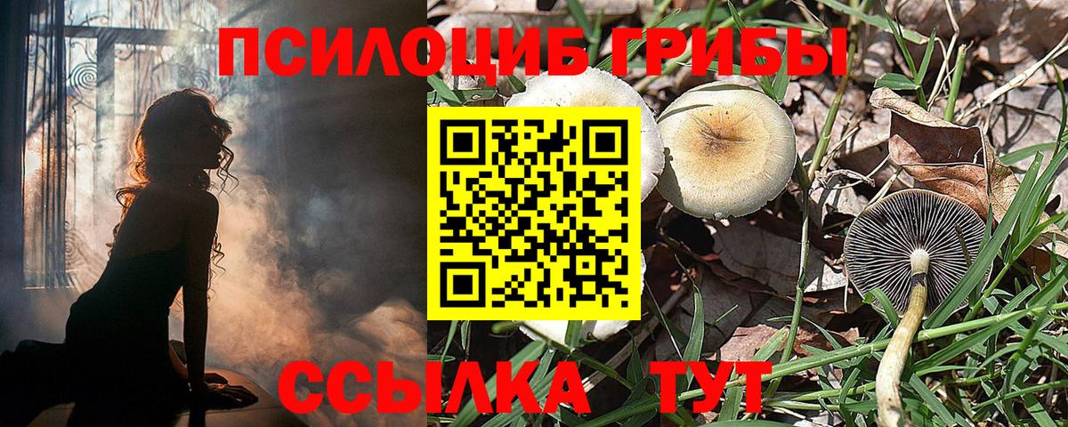 Альфа ПВП СК кристаллы  Гашиш  Метадон  Вход с VPN  Меф МЯУ МЯУ  Евпатория  КОКАИН  Меф МЯУ МЯУ   МАРИХУАНА 