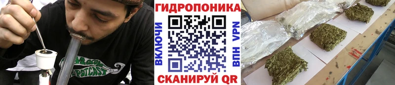 площадка официальный сайт  Евпатория  Марихуана Amnesia 